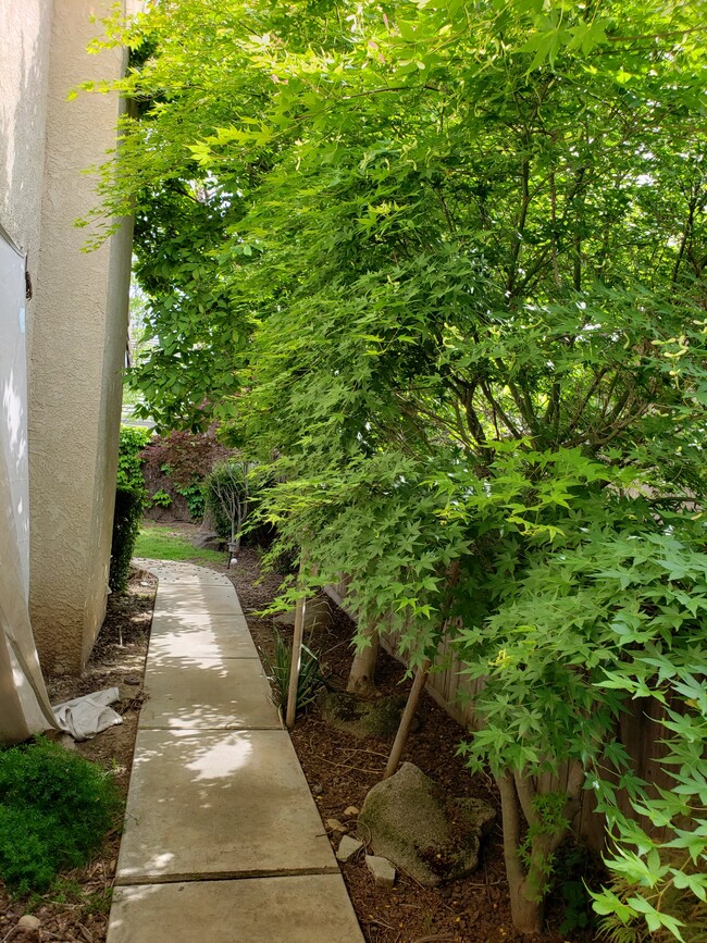 Photo - 2054 Pinehurst Ct Casa