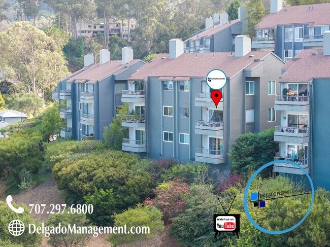 Building Photo - Sausalito living in this 2bd/2ba hillside ... Rental