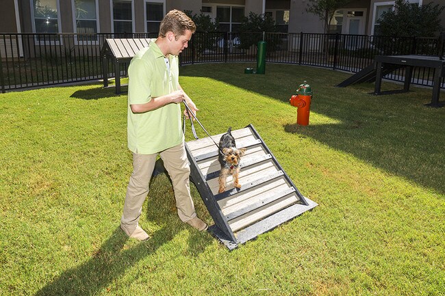 Suites Dog Park