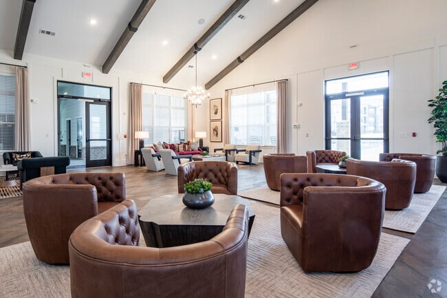 Photo - Waterleaf at Cold Springs