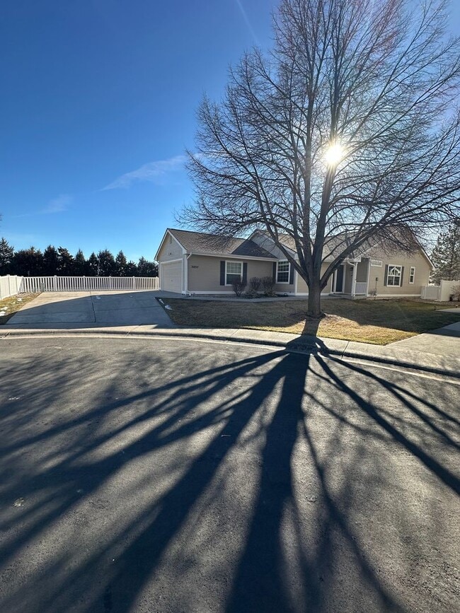 Building Photo - Amazing 4 Bedroom House in Ft. Collins!