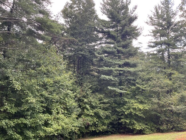 Photo - 44 Beach Crest Rise