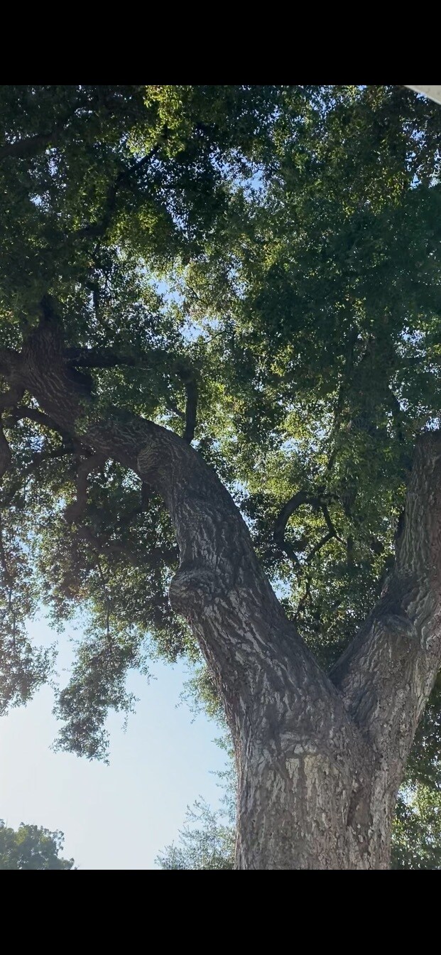 Photo - 214 W 8th St