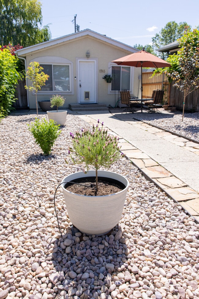Front + Landscaping - 1745 Lake St House