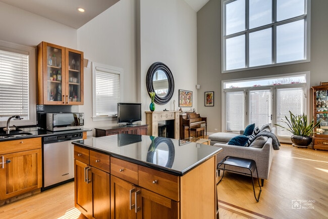 Photo - 869 N Paulina St Unit 3