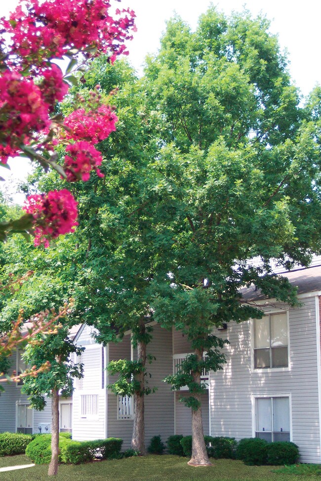 Overlook Apartments For Rent in Greenville, SC