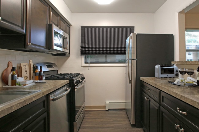 Photo - Hidden Forest