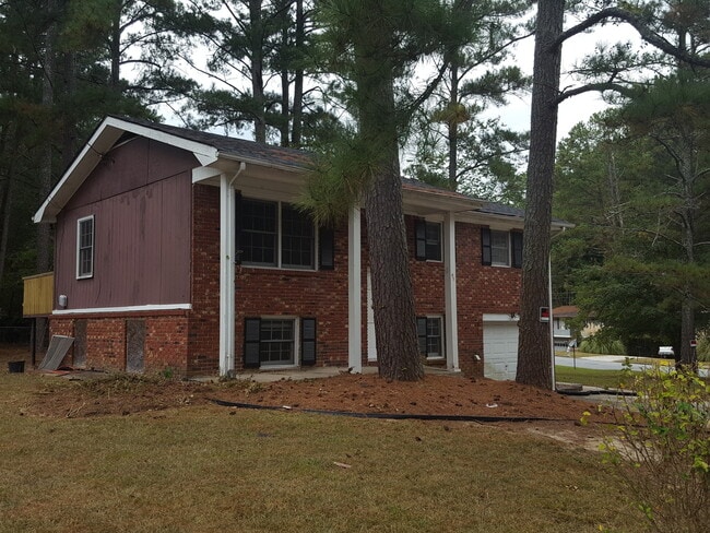 Photo - CUTE IN COLLEGE PARK