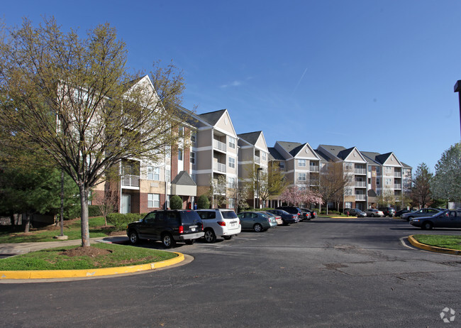 Building Photo - Acclaim at Lake Largo Rental