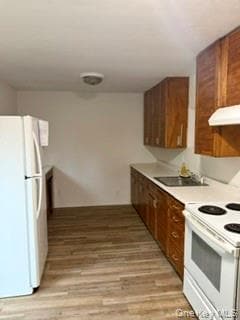 181 Orchid Dr