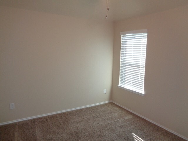 Photo - 20211 Ray Falls Dr