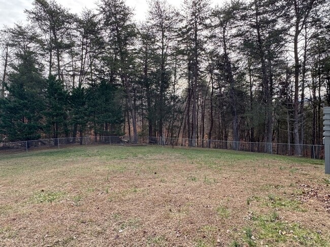 Photo - Beautiful!!!!