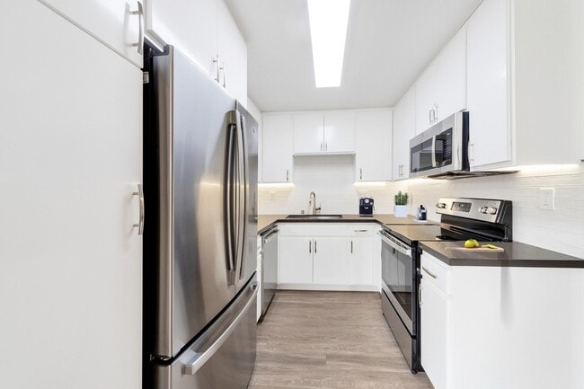 Oasis Apartments - Oasis Apartments