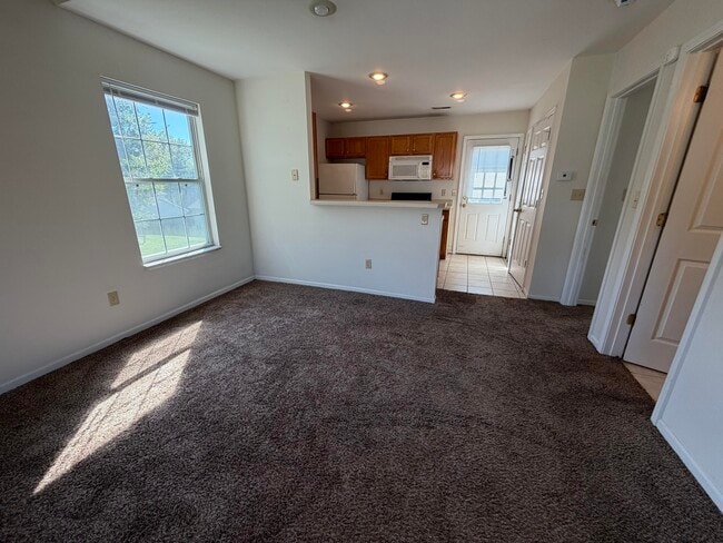 1413 N Frideriki Dr