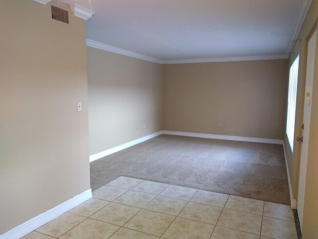 Photo - Green Tee - # 110 Unidad 1