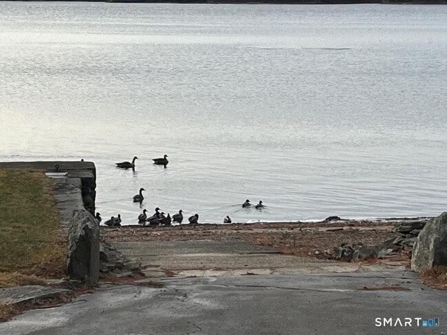 Photo - 71 Ellington Rd