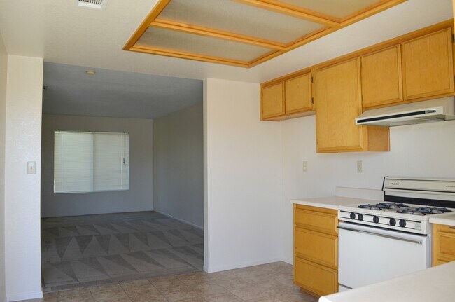 Photo - Desert Winds