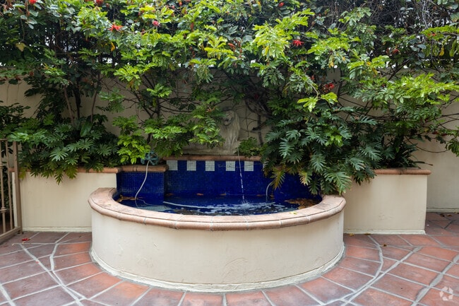 ¡Fuente