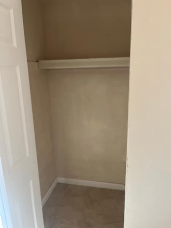 Photo - 3913 S Queen Palm Dr