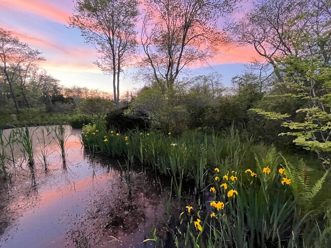 Photo - 209 Old Stone Hwy