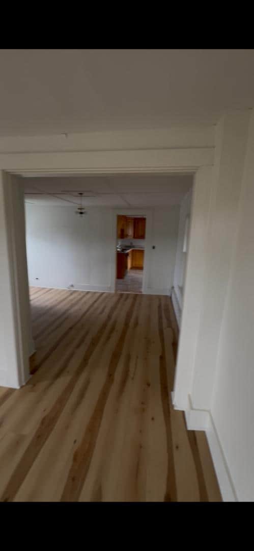Photo - 157 Wakefield St