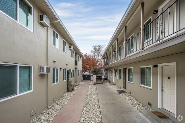 Courtyard - The Canopy