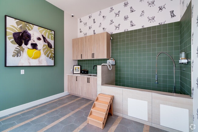 Lavado de mascotas - Atlas Grand Palms