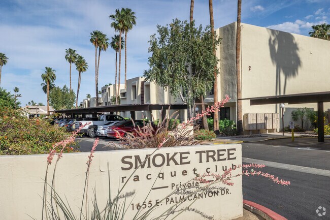 Photo - Smoke Tree