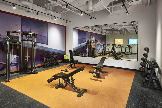 0216_cor-min - ALMA @ Guelph – Student Community