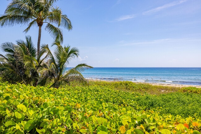 Photo - 2565 S Ocean Blvd