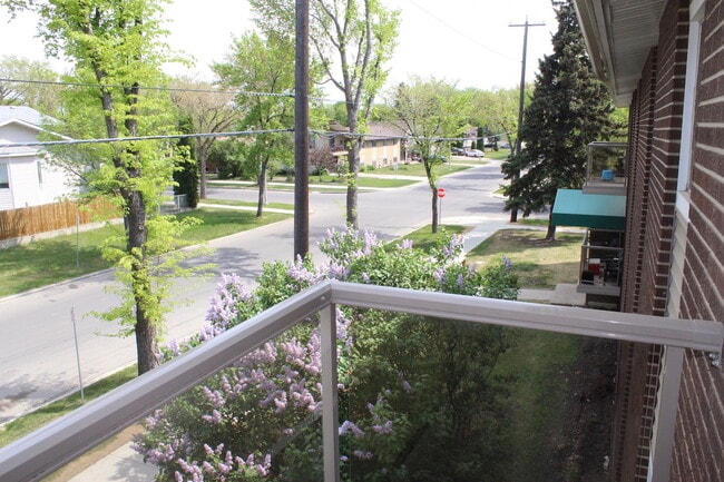 Photo - Willow Apartments