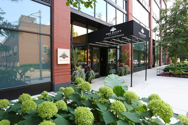 Building Photo - The Scott Residences Rental