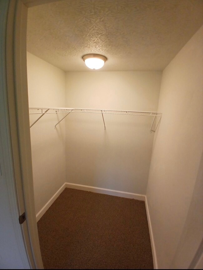 Photo - Deer Forest Apartments