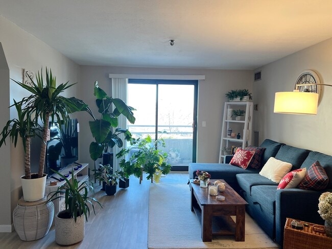 Building Photo - 376 Ocean Ave Unit 206