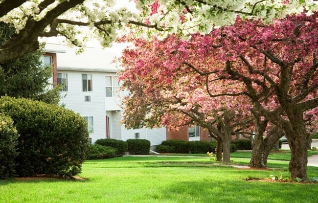 Photo - 2BR/1Bth unit in professionally managed complex, Heat/Hot Water included. Gym, pool, balcony