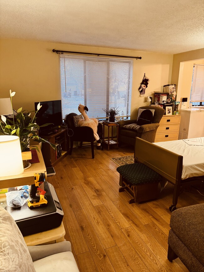 Living Room - 39 Lemon Tree Ct Unit 1