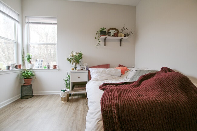 Photo - Carolina Heights