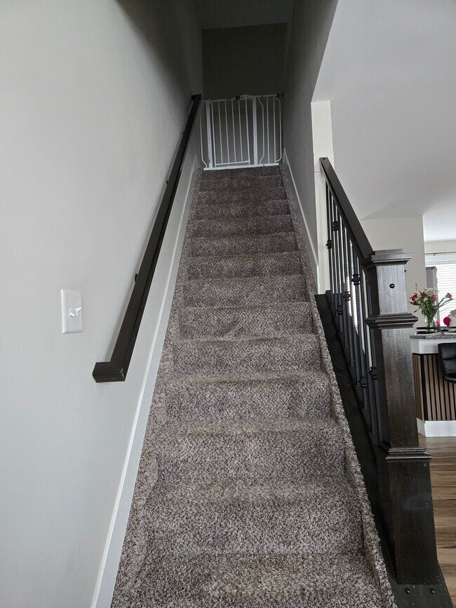 Photo - 506 Sudbury Dr