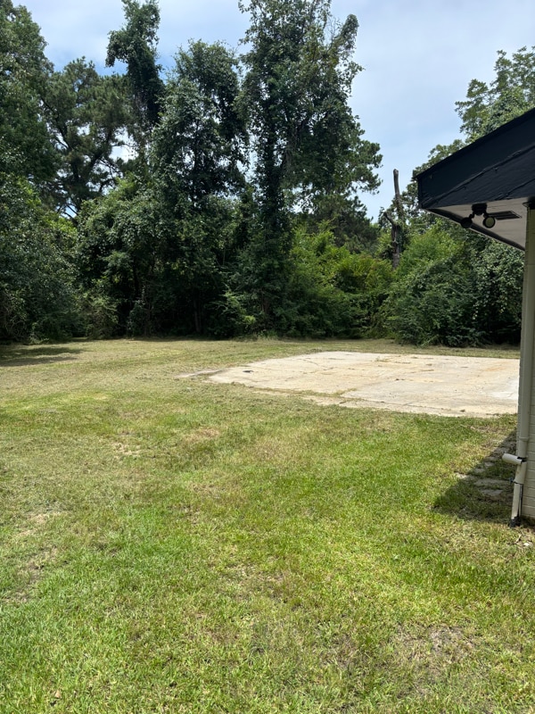 Photo - 11735 Ellen Dr