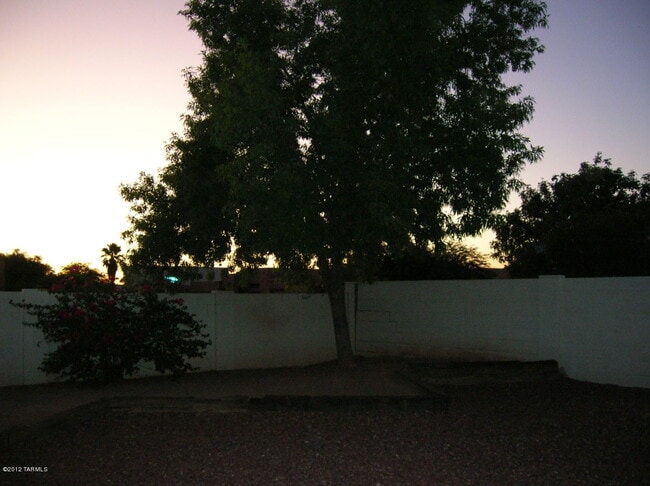 Photo - 8645 N Auriga Way