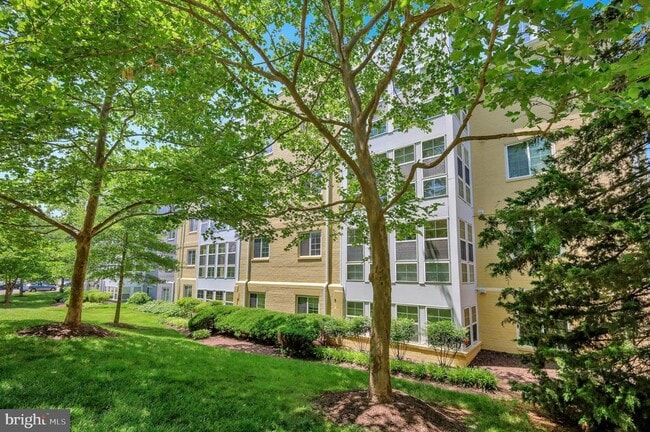 Building Photo - 4067 S Four Mile Run Dr Unit 203