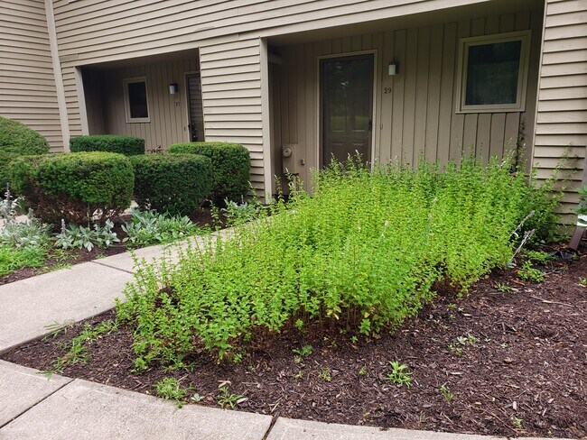 Photo - 29 4th Ave Townhome
