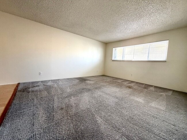 Photo - 1 bedroom apartment