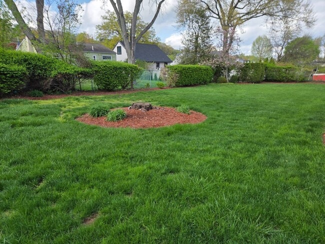 Photo - 144 Raphael Rd