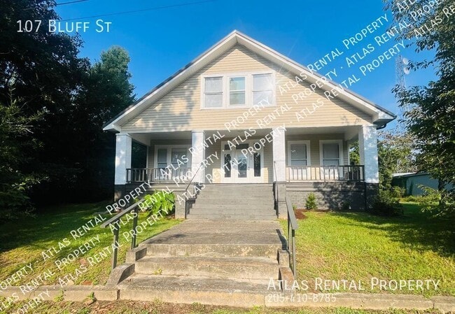 Building Photo - 107 Bluff St
