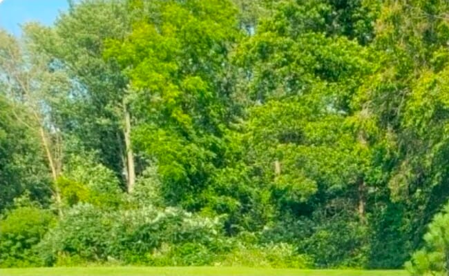 Building Photo - 701 Litchfield St Unit 4