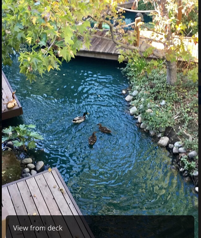 Photo - 911 Fulton Ave