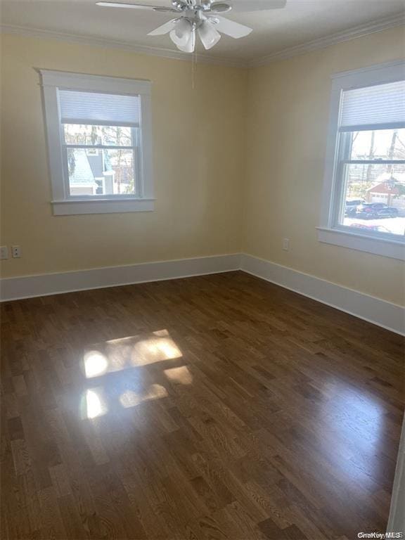 Photo - 2 William St Unit 2