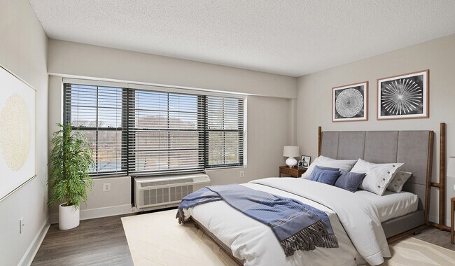 Los apartamentos seleccionados tienen pisos de madera en las habitaciones
