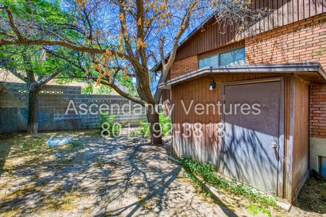 Photo - 706 Buzianis Way